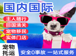 梅县航空运输国际宠物托运 【国